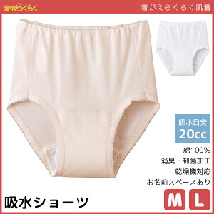炭炭 ւ炭炭 EFA V[c փpc 20ccΉ ARpc MTCY LTCY 쉺 씧 pi O[ GUNZE 100% ʔ | pߗ EGA 