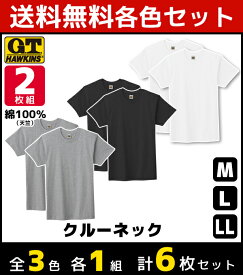 3色1組ずつ 送料無料3組セット 計6枚 G.T.HAWKINS ホーキンス Tシャツ 2枚組 グンゼ GUNZE |gtホーキンス インナー 肌着 メンズ メンズ肌着 紳士肌着 下着 シャツ メンズインナーシャツ 男性下着 メンズインナー インナーシャツ 半袖