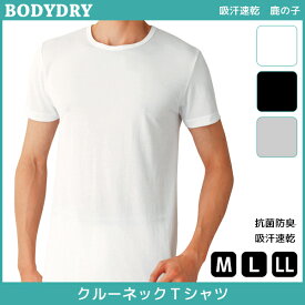 BODYDRY ボディドライ クルーネックTシャツ 半袖丸首 Mサイズ Lサイズ LLサイズ グンゼ GUNZE | メンズ 紳士 男性 肌着 紳士肌着 男性下着 インナー インナーシャツ メンズインナーシャツ アンダーウェア アンダーシャツ メンズ下着 メンズ肌着 夏 ティーシャツ 半袖 下着