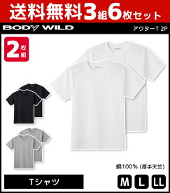 送料無料3組セット 計6枚 BODYWILD ボディワイルド ヘビーウェイトTシャツ クルーネック 2枚組 グンゼ GUNZE ボディーワイルド BODY WILD 綿100％ | メンズ 男性 紳士 厚手 Tシャツ 半袖 半そで ヘビーウェイト 無地 白Tシャツ 厚め 透けにくい おしゃれ シンプル 白T 白 黒