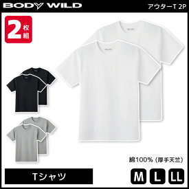 BODYWILD ボディワイルド ヘビーウェイトTシャツ クルーネック 2枚組 グンゼ GUNZE ボディーワイルド BODY WILD 綿100％| メンズ 男性 紳士 厚手 Tシャツ 半袖 半そで ヘビーウェイト 無地 厚め 厚い 分厚い 白T 透けにくい 7オンス 白Tシャツ おしゃれ デート シンプル