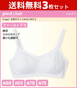 30%OFF 3Zbg WjAfB[X pied clair sGN[ Stage2 Ŝӂ݂͂߂ t@[Xgu n[tgbv Jbvt O[ GUNZE q X|[cuW[ | u