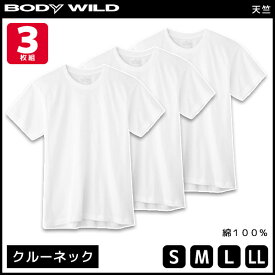 楽天市場 グンゼ サイズ S M L S インナーシャツ インナー 下着 メンズ インナー 下着 ナイトウェアの通販 楽天市場 グンゼ サイズ S M L S インナーシャツ インナー 下着 メンズ インナー 下着 ナイトウェアの通販