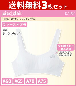 30%OFF 送料無料3枚セット ジュニアレディース pied clair ピエクレール Stage2 全体がふくらみはじめたら ファーストブラ ハーフトップ カップ付き グンゼ GUNZE 子供下着 スポーツブラジャー | ブ