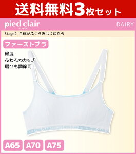 3Zbg WjAfB[X pied clair sGN[ Stage2 Ŝӂ݂͂߂ t@[Xgu n[tgbv Jbvt O[ GUNZE q X|[cuW[ | uW