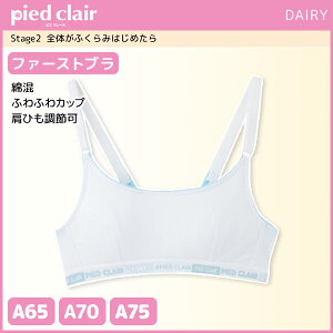 30%OFF WjAfB[X pied clair sGN[ Stage2 Ŝӂ݂͂߂ t@[Xgu n[tgbv Jbvt O[ GUNZE q X|[cuW[ | uW[ u X|