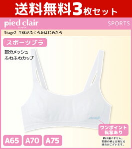 3Zbg WjAfB[X pied clair sGN[ Stage2 Ŝӂ݂͂߂ X|[cu n[tgbv Jbvt O[ GUNZE X|[cuW[|uW[ u X|