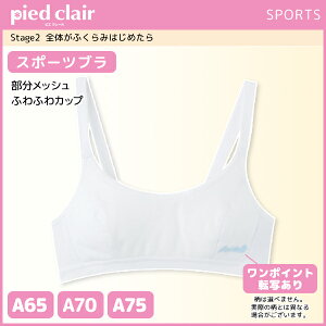 30%OFF WjAfB[X pied clair sGN[ Stage2 X|[cu n[tgbv O[ GUNZE | X|[cuW[ uW[ u X|[c X|u WjA q LbY K[YCi