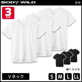 BODYWILD ボディワイルド VネックTシャツ 半袖V首 3枚組 グンゼ GUNZE ボディーワイルド BODY WILD|綿100％ 肌着 下着 メンズ ティーシャツ メンズインナー 無地 男性下着 L ホワイト 白 紳士 大きいサイズ インナー インナーシャツ 白tシャツ 半袖tシャツ まとめ買い セット