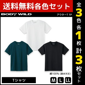 3色1枚ずつ 送料無料3枚セット BODYWILD ボディワイルド ヘビーウェイトTシャツ クルーネック グンゼ GUNZE ボディーワイルド BODY WILD 綿100％| メンズ 男性 紳士 厚手 Tシャツ 半袖 ヘビーウェイト 無地 厚め 白T 透けにくい 7オンス おしゃれ シンプル 白 黒 丸首 綿