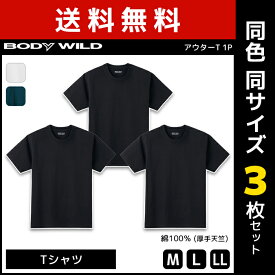 送料無料 同色3枚セット BODYWILD ボディワイルド ヘビーウェイトTシャツ クルーネック グンゼ GUNZE ボディーワイルド BODY WILD 綿100％ | メンズ 男性 紳士 厚手 Tシャツ 半袖 ヘビーウェイト 無地 厚め 白T 透けにくい 7オンス おしゃれ デート シンプル 白 黒 丸首 綿