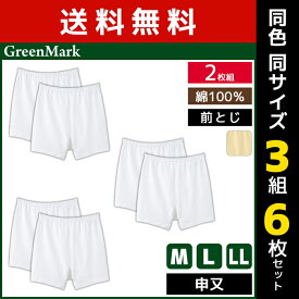 送料無料 同色3組セット 計6枚 GreenMark 申又 前とじ 2枚組 綿100% グンゼ GUNZE | メンズ 男性 下着 パンツ ブリーフ 男性下着 メンズ下着 前閉じ 男性用 メンズショーツ 男性用パンツ メンズパンツ 綿100 メンズ下着 ボクサー ボクサーパンツ さるまた メンズボクサー