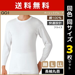  F3Zbg GQ-1 x[VbN ێ TVc  100% O[ GUNZE | Y j am Ci[Vc N[lbN  tVc Ci[ A_[Vc ێCi