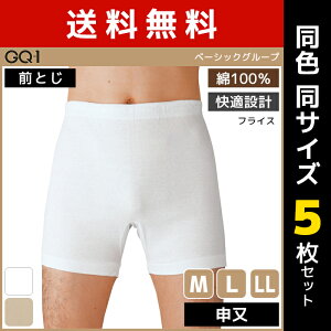  F5Zbg GQ-1 x[VbN \ OƂ  100% O[ GUNZE | Y j  pc u[t j Y O jp Y{NT[ peB jppc 