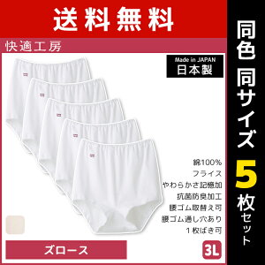 �y�X���S�i�|�C���g10�{�z �������� ���F5���Z�b�g ���K�H�[ �Y���[�X 3L�T�C�Y �傫���T�C�Y ��100% ���{�� �O���[ GUNZE | ���� ���f�B�[�X ���f�B�X �w�l �����p �C���i�[ ���� ���� �p���e�B 