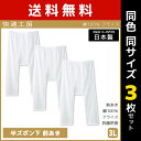 【11日までエントリーで最大100％ポイントバック】送料無料 同色3枚セット 快適工房 半ズボン下 前あき 3Lサイズ 日本製 インナー 肌着 グンゼ GUNZE | 男性 紳士 メンズ 日本 男性肌着 3l 大きいサイズ ステテコ すててこ ニーレングス ズボン下 パッチ ももひき 股引 下着