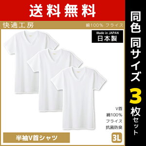  F3Zbg KH[ VVc 3LTCY { Ci[  O[ GUNZE | j am Y { j 3l 傫TCY  tVc Ci[Vc  C
