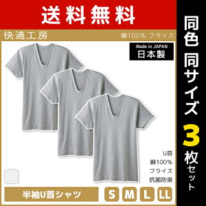�y10������G���g���[�ōő�300���|�C���g�o�b�N�z �������� ���F3���Z�b�g ���K�H�[ ����U��V���c ���{�� �C���i�[ ���� �O���[ GUNZE | �j�� �a�m �����Y ���{ �j������ s�T�C�Y m�T�C�Y l�T�C
