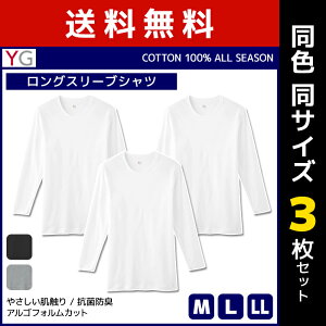  F3Zbg YG CW[ COTTON100% OX[uVc  O[ GUNZE | Y j am 傫TCY   YCi[ A_[EFA Ci[EFA Ci[ C