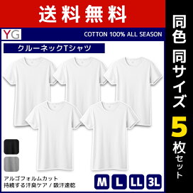 цопе попки $  ))))))))femail tights 楽天市場】Tuche トゥシェ ペチタイツ タイツ グンゼ GUNZE | 女性 レディース レディス ペチパンツ ペチコート ペチパン ズボン下  重ね履き ボトム ボトムス インナーパンツ タップパンツ インナータイツ 暖かい 温かい 黒 防寒 あたたか あったかタイツ 黒タイツ ...