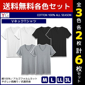 3色2枚ずつ 送料無料6枚セット YG ワイジー COTTON100% VネックTシャツ 半袖V首 グンゼ GUNZE| メンズ 男性 紳士 大きいサイズ 肌着 男性下着 メンズインナー アンダーウェア ティーシャツ インナーウェア インナーシャツ 綿100 コットン 白T 白Tシャツ M L LL 3L Tシャツ