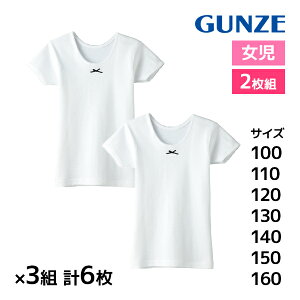  F3gZbg v6 q n 3Vc 2g 100% ̎q  O[ GUNZE |   tVc K[Y XN[Ci[ h  Ci[ w w