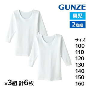  F3gZbg v6 q n ݍL ێVc 2g 100% j̎q j O[ GUNZE|   t  {[CY XN[Ci[ h   C