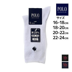 POLO | LbY\bNX jp M[ C qp O[ GUNZE | XN[\bNX \bNX LbY XN[ ̎q j̎q w w Z    |Cg jq q