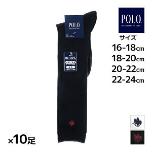  F10Zbg POLO | LbY\bNX jp nC\bNX C qp O[ GUNZE|XN[\bNX \bNX LbY XN[ ̎q j̎q w w Z    