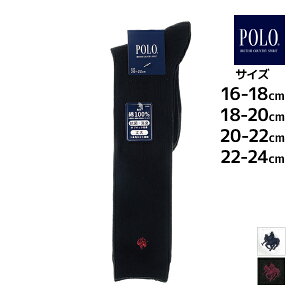 POLO | LbY\bNX jp nC\bNX C qp O[ GUNZE | XN[\bNX \bNX LbY XN[ ̎q j̎q w w Z    |Cg jq q
