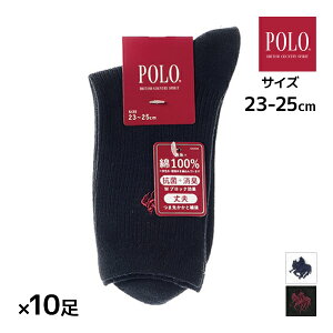  F10Zbg POLO | 18cm XN[\bNX jp C O[ GUNZE | \bNX LbY XN[ ̎q j̎q w w Z    |Cg jq q ʊw 