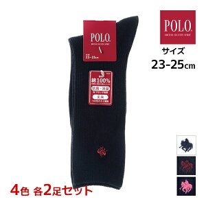 4F2 8Zbg POLO | 26cm XN[\bNX jp C O[ GUNZE | \bNX LbY XN[ ̎q j̎q w w Z    |Cg jq q 