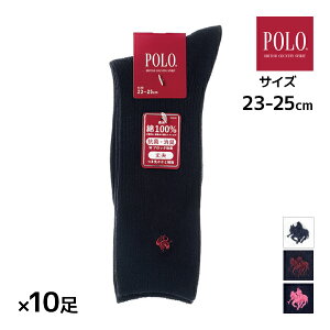  F10Zbg POLO | 26cm XN[\bNX jp C O[ GUNZE | \bNX LbY XN[ ̎q j̎q w w Z    |Cg jq q ʊw 