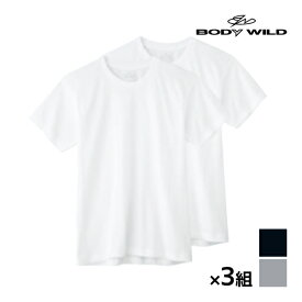 送料無料 同色3組セット 計6枚 BODYWILD ボディワイルド クルーネックTシャツ 半袖丸首 2枚組 グンゼ GUNZE | メンズ 男性 紳士 肌着 下着 メンズシャツ シャツ Tシャツ 半袖 丸首 クルーネック メンズ肌着 インナー ティーシャツ 綿 メンズインナー 綿100％ 半袖シャツ 無地