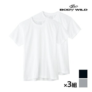 ボディワイルド(bodywild)