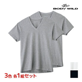 3色1組ずつ 送料無料3組セット 計6枚 BODYWILD ボディワイルド VネックTシャツ 半袖V首 2枚組 グンゼ GUNZE | メンズ 男性 肌着 下着 メンズシャツ シャツ Tシャツ 半袖 v首 vネック ボディーワイルド ブランド インナー ティーシャツ 綿 メンズインナー 綿100％ 半袖シャツ