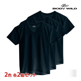 2色2組ずつ 送料無料4組セット 計12枚 BODYWILD ボディワイルド VネックTシャツ 半袖V首 3枚組 グンゼ GUNZE | メンズ 男性 肌着 下着 メンズシャツ シャツ Tシャツ 半袖 v首 vネック ボディーワイルド ブランド インナー ティーシャツ 綿 メンズインナー 綿100％ 半袖シャツ