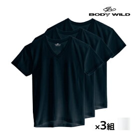 送料無料 同色3組セット 計9枚 BODYWILD ボディワイルド VネックTシャツ 半袖V首 3枚組 グンゼ GUNZE | メンズ 男性 紳士 肌着 下着 メンズシャツ シャツ Tシャツ 半袖 v首 vネック ボディーワイルド ブランド インナー ティーシャツ 綿 メンズインナー 綿100％ 半袖シャツ