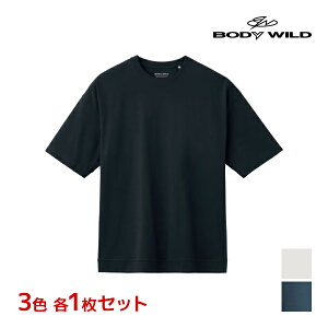 �y�X���S�i�|�C���g10�{�z 3�F1������ ��������3���Z�b�g BODYWILD �{�f�B���C���h �W�F���_�[�j���[�g���� �h���b�v�V�����_�[ �N���[�l�b�NT�V���c �����ێ� �O���[ GUNZE | �V���c T�V���c ��