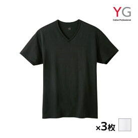 送料無料 同色3枚セット YG ワイジー コットン 超速吸水 VネックTシャツ 天竺 綿100% インナー グンゼ GUNZE | メンズ 男性 tシャツ シャツ vネック v首 半袖 半袖tシャツ 白T 白tシャツ 白ティーシャツ 下着 肌着 男性下着 インナーシャツ メンズインナーシャツ 綿 半袖v首