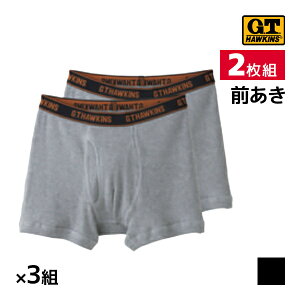  F3gZbg v6 G.T.HAWKINS z[LX {NT[u[t O pc 100% 2g O[ GUNZE | Y j am OJ Ypc j {NT[pc Y{NT