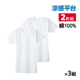 送料無料 同色3組セット 計6枚 涼感平台 冷感鹿の子 半袖丸首 Tシャツ インナー 2枚組 日本製 グンゼ GUNZE | メンズ 男性 紳士 クルーネック 丸首 涼感 涼しい 肌着 下着 インナーシャツ シャツ 夏 メンズインナー 綿 暑さ対策 ひんやり ビジネス 夏用インナー 冷感 半袖