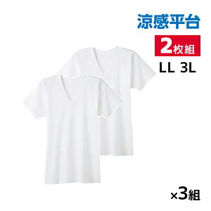 �y�X���S�i�|�C���g10�{�z �������� ���F3�g�Z�b�g �v6�� �������� �R�ۖh�L �����t���C�X ����V�� �C���i�[ T�V���c 2���g LL�T�C�Y 3L�T�C�Y �O���[ GUNZE | �傫���T�C�Y �����Y �j�� �a�m v�l