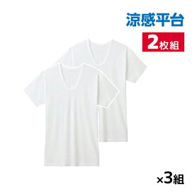 送料無料 同色3組セット 計6枚 涼感平台 メッシュ 半袖U首 インナー Tシャツ 2枚組 グンゼ GUNZE | メンズ 男性 紳士 uネック u首 半袖 涼感 涼しい 肌着 下着 インナーシャツ 紳士肌着 白tシャツ シャツ 半袖インナー 男性用下着 無地 ビジネス 夏 メンズインナー ひんやり