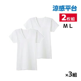 送料無料 同色3組セット 計6枚 涼感平台 抗菌防臭 鹿の子 半袖V首 インナー Tシャツ 2枚組 グンゼ GUNZE | メンズ 男性 紳士 vネック v首 半袖 涼感 涼しい 肌着 下着 インナーシャツ メンズインナーシャツ 紳士肌着 シャツ 半袖インナー 男性用下着 無地 夏 夏用 ビジネス