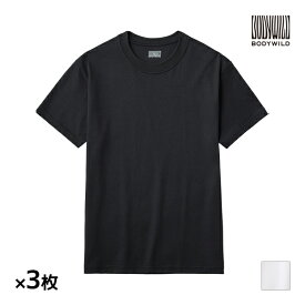 送料無料 同色3枚セット BODYWILD ボディワイルド 汗ジミ対応 クルーネックTシャツ グンゼ GUNZE | tシャツ カットソー メンズ 汗染み防止 汗じみ防止 男性 半袖 白T 白tシャツ ボックスシルエット 汗対策 汗染み防止tシャツ トップス 黒tシャツ 汗 染み 目立たない シャツ