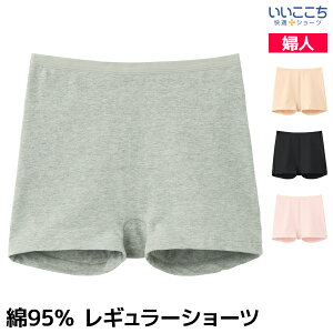 �y10������G���g���[�ōő�300���|�C���g�o�b�N�z ���������� ���K�V���[�c �ȍ��X�g���b�` �ꕪ�� ���M�����[�V���[�c ���� �p���c ���� �O���[ GUNZE�y���[���ցz| �V���[�c �{�b�N�X�V��