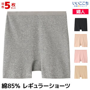 �y10������G���g���[�ōő�300���|�C���g�o�b�N�z �������� ���F5���Z�b�g ���������� ���K�V���[�c ���M�����[�V���[�c �p���c �O���[ GUNZE | ���� ���� �w�l ���f�B�[�X �V���[�c �p���e�B