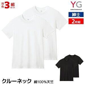 �y�X���S�i�|�C���g10�{�z �������� ���F3�g�Z�b�g �v6�� YG ���C�W�[ �N���[�l�b�NT�V���c 2���g ��100% �V�� �a�m �O���[ GUNZE | t�V���c ���� �J�b�g�\�[ �V���c �e�B�[�V���c �C���i�[ �C���i