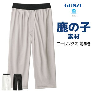 �y�X���S�i�|�C���g10�{�z �A�Z�h���� ���̎q �j�[�����O�X �O���� �j�� �O���[ GUNZE�y2���܂Ń��[���։z| �Y�{���� �p�b�` ���Y�{���� �����Y ���M���X �X���b�N�X�� �X�e�e�R ���ĂĂ� �O